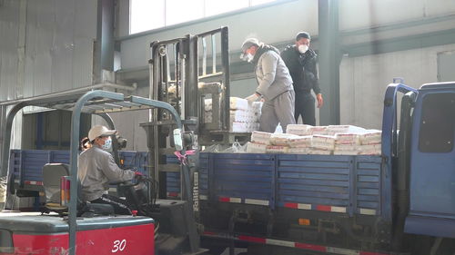 莱州粮食加工企业开足马力生产保障市场供应